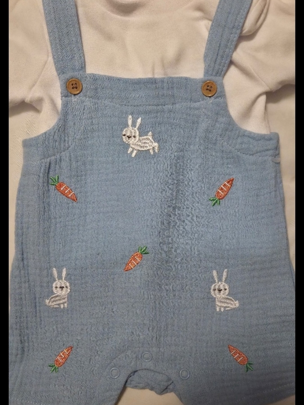 Baby Starters Light Blue Bunny & Carrot Embroidered Overalls